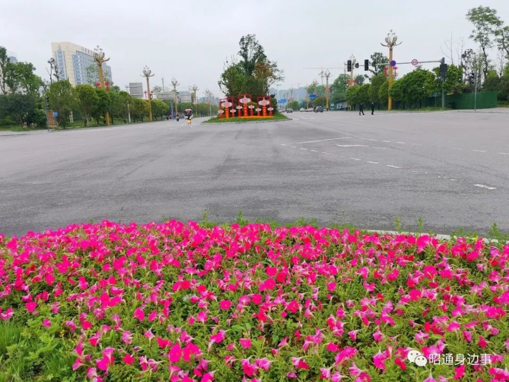 鎮(zhèn)雄南部新區(qū)最新動(dòng)態(tài)，鄰里間的溫情故事展現(xiàn)溫情鄰里關(guān)系