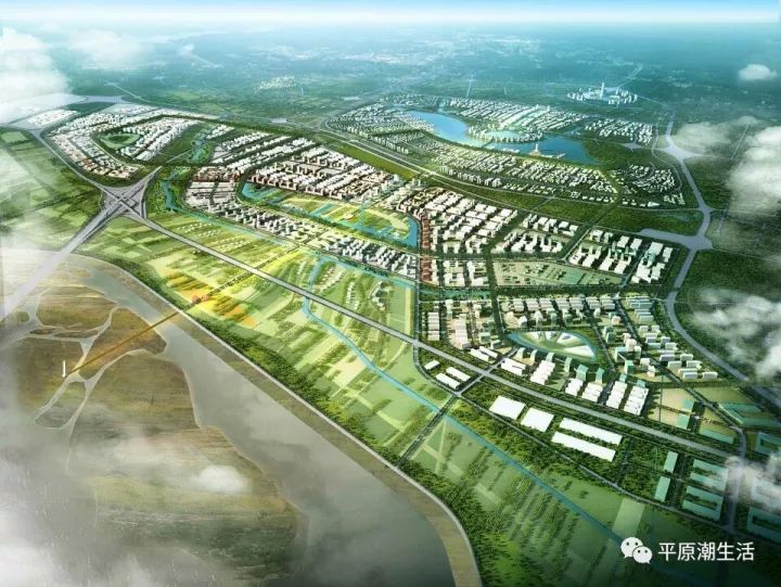 平原新區(qū)新脈動(dòng)，城市發(fā)展與溫馨日常的最新消息
