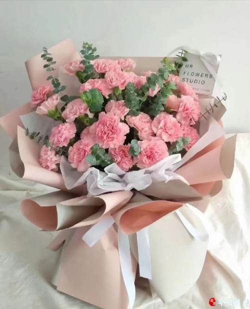 康乃馨價(jià)格走勢(shì)揭秘，市場(chǎng)趨勢(shì)、影響因素與選購指南