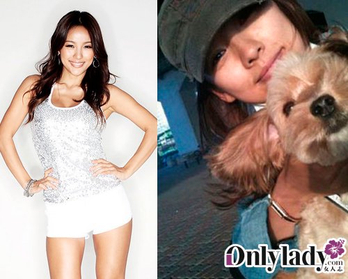 近期逝去的明星，璀璨之星的黯淡落幕