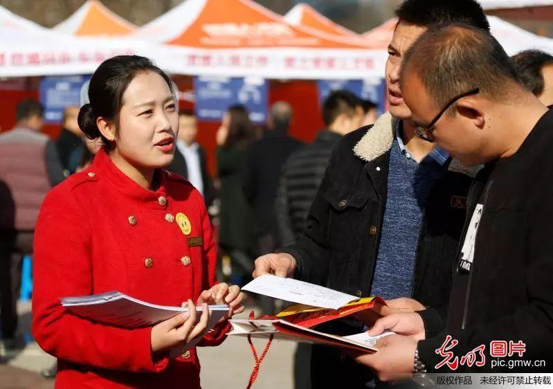 眉山東坡區(qū)最新職位招聘，職場人的首選選擇