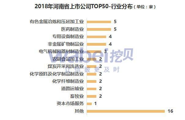 河南上市公司一覽，企業(yè)上市全景解析
