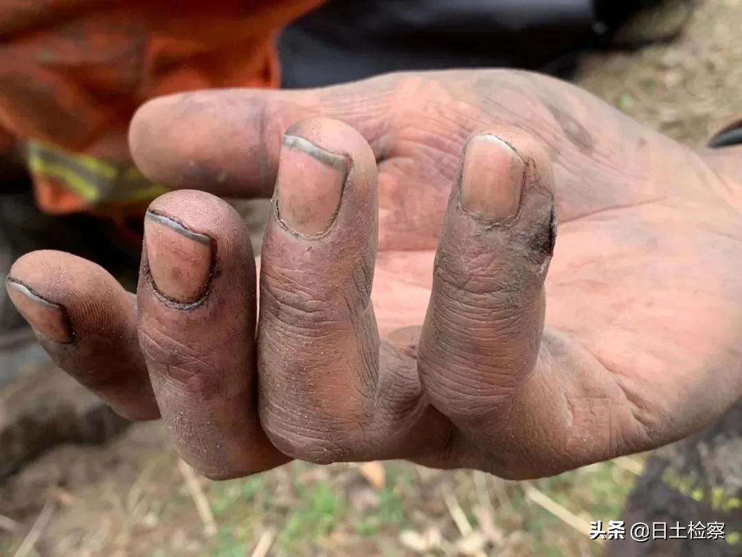 林芝山火最新消息更新，最新動(dòng)態(tài)揭秘