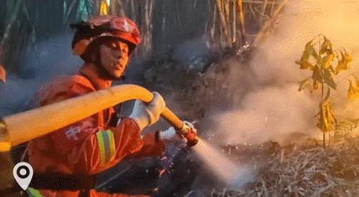 璧山動(dòng)態(tài)，引領(lǐng)未來的高科技產(chǎn)品體驗(yàn)之旅