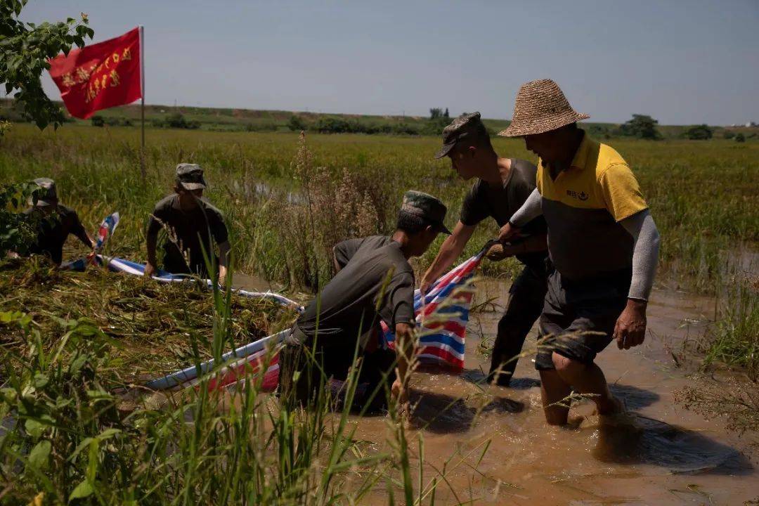 鄱陽饒埠鎮(zhèn)最新動態(tài)，探訪與發(fā)展指南