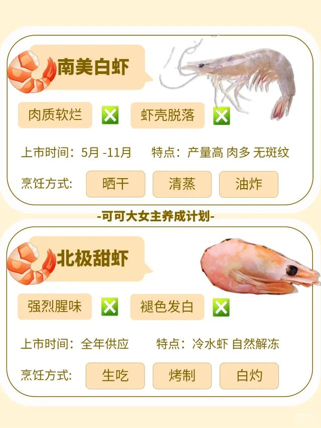 最新南美蝦，海洋美味的新寵兒