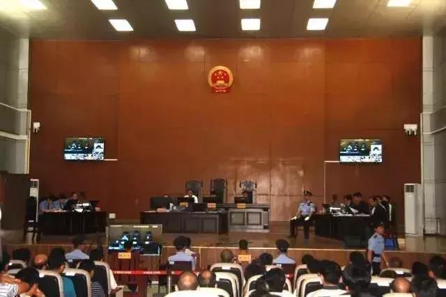 寧思專最新動態(tài)更新