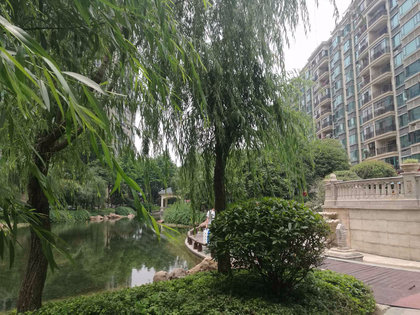 漢陽(yáng)恒大綠洲最新房?jī)r(jià)動(dòng)態(tài)，變化中的學(xué)習(xí)與自信的力量