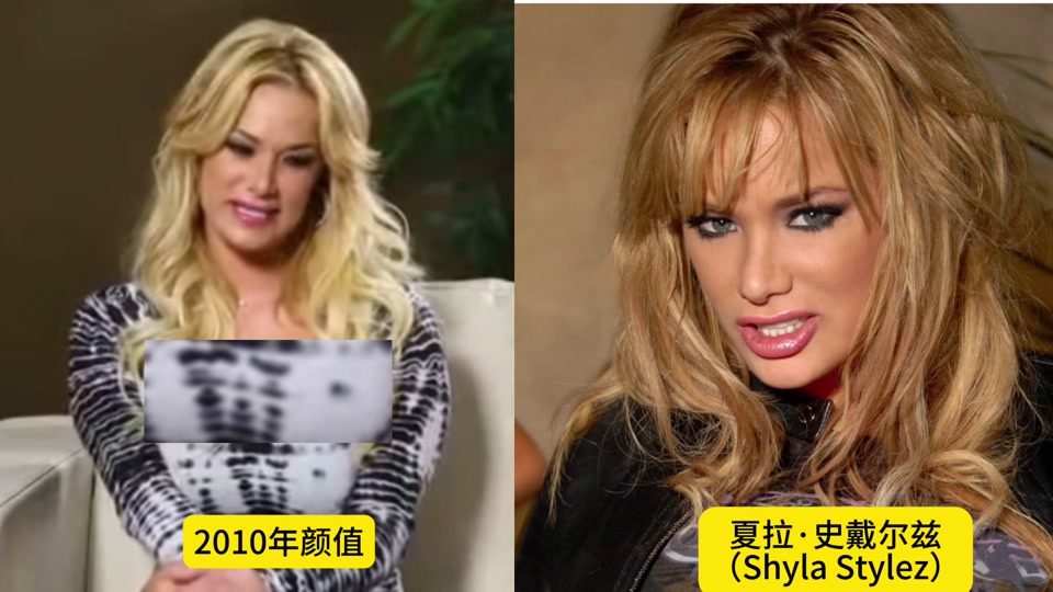 夏拉史戴爾茲最新圖片及其獲取指南