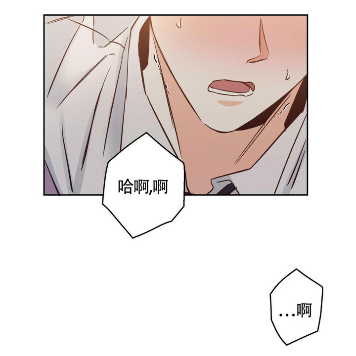 城市巷弄間的溫情日常，漫畫(huà)最新更新第155章