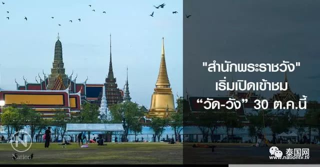 泰國大皇宮最新動態(tài)，一種觀點的深度解析與影響