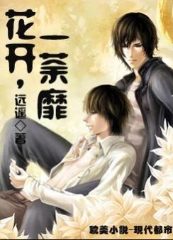 裴墨林荼蘼，時代背景下的情感糾葛與成長印記最新章節(jié)