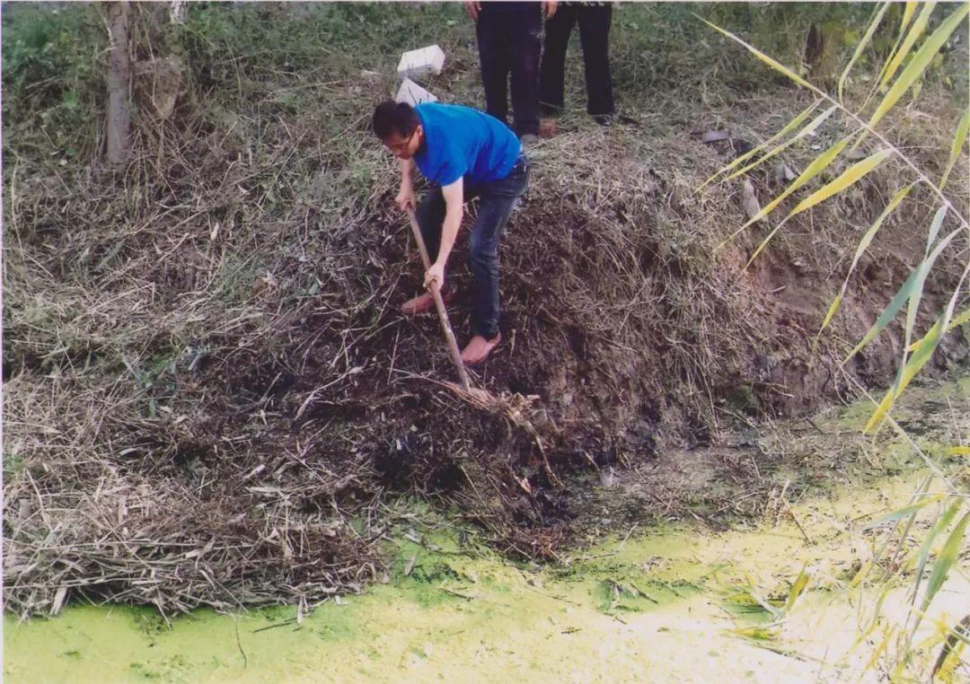 宜賓藍天紙業(yè)，綠色發(fā)展典范，引領(lǐng)行業(yè)前行之路