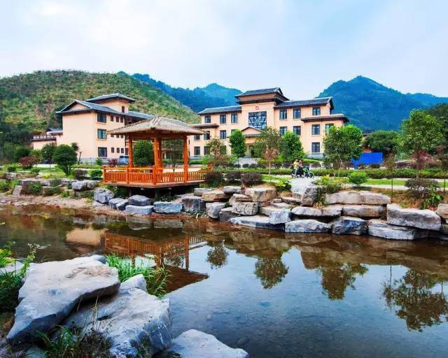 廣西蒙山高速最新動態(tài)，駛向自然美景，探尋內心平靜的旅程