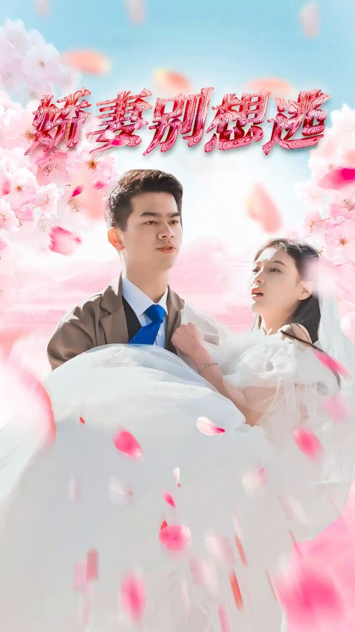 鮮妻不準逃大結(jié)局最新深度探討，多維度視角下的分析