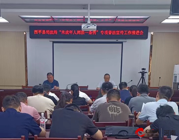 河南西平新聞最新動態(tài)，小巷深處的獨特風味