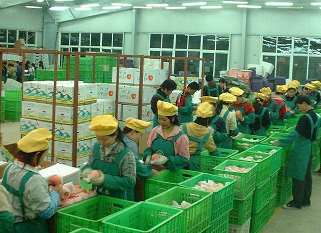 最新養(yǎng)雞場(chǎng)普工招聘啟事，攜手共創(chuàng)自信與成就，共啟勵(lì)志人生之旅