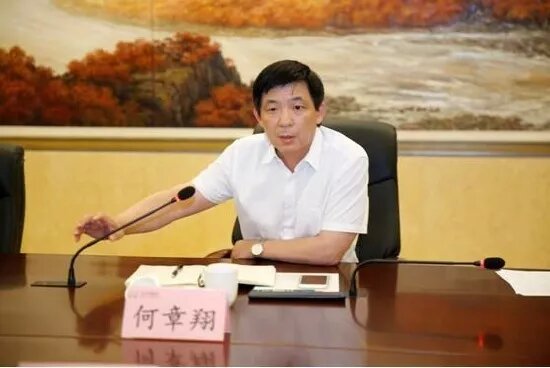 鎮(zhèn)江雷志強的最新任職，多維度視角下的深入探討