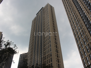 霸州天鵝灣最新動(dòng)態(tài)，自然美景探索之旅，尋找內(nèi)心的寧靜與喜悅