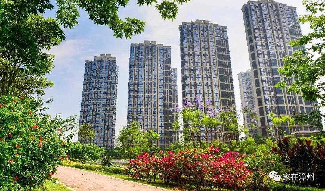 漳州國貿(mào)潤園最新房價(jià)揭秘，家的故事與溫馨家園的呈現(xiàn)