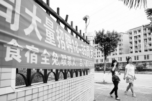 河源東源仙塘最新招聘，時(shí)代背景下的新機(jī)遇啟航