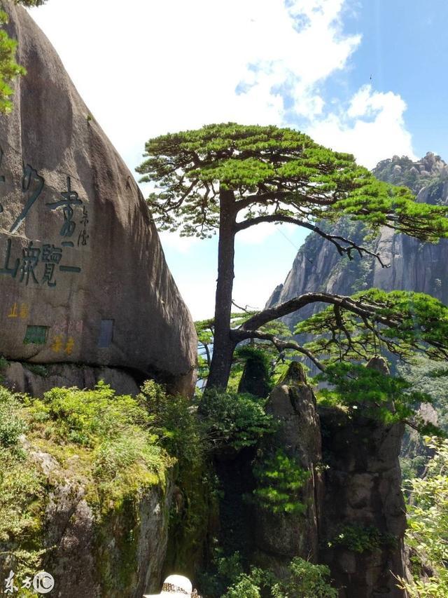 徽州復名的最新進展更新，動態(tài)了解復名進程