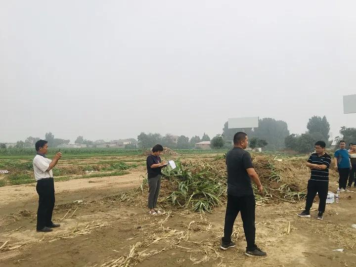 永年區(qū)最新工程項(xiàng)目，時(shí)代印記與未來展望之路