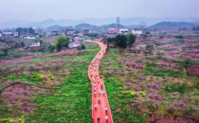 簡陽養(yǎng)馬靈仙最新規(guī)劃與美食探秘之旅